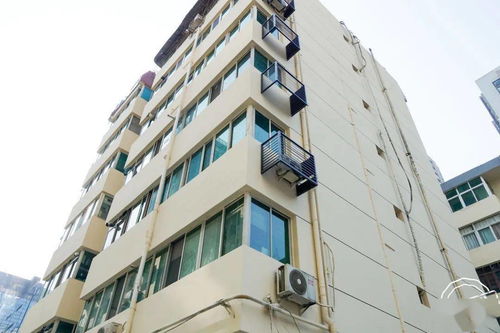 三改一通一落地丨刷顏值提品質(zhì) 一家三代老宅蛻變記