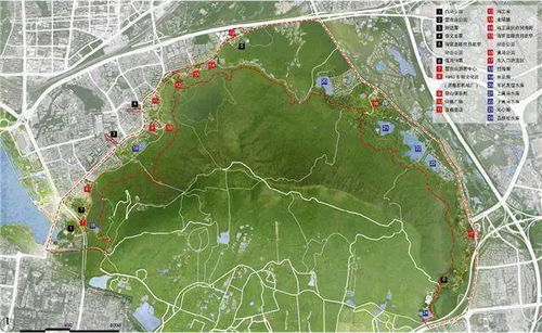 2021年南京規(guī)劃來了 過江通道 新建景區(qū)還有一大批學校...