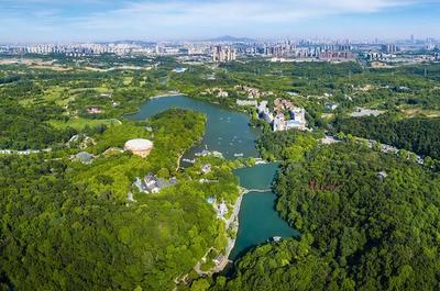 草地露營(yíng)、國(guó)潮音樂(lè)節(jié)、少兒音樂(lè)匯 南京珍珠泉度假區(qū)假期精彩紛呈，盡顯卓越園區(qū)管理服務(wù)