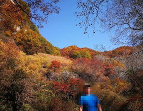 2019平山駝梁風(fēng)景區(qū)游玩全攻略 門(mén)票價(jià)格、游覽路線、地址與服務(wù)詳解
